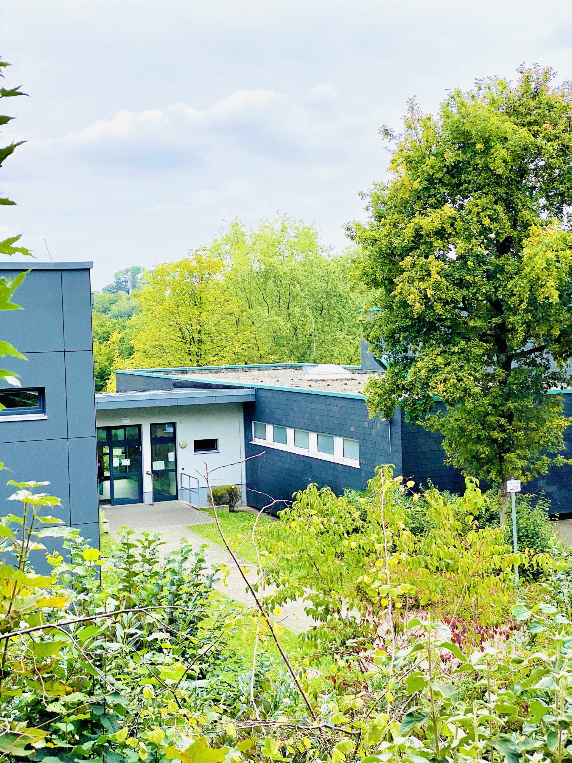 Turnhalle 5 Gesamtschule Ronsdorf (winter)